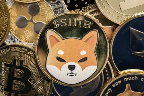 Shiba Inu Shocks Market Surging 130% to Join the Top 10 Cryptocurrencies After an Explosive Week - DailyCoin