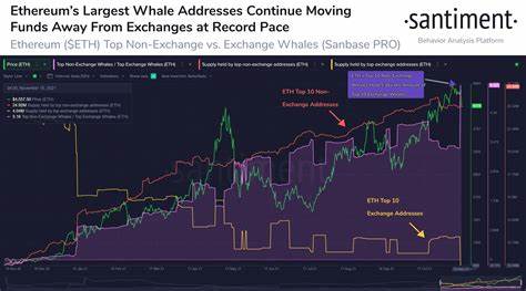 Ethereum whales panic, $493m ETH entered exchanges in 7 days - crypto.news