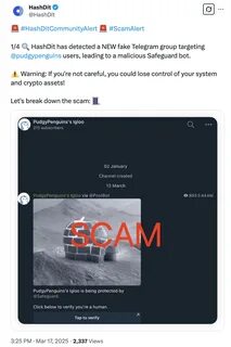 HashDit Warns Pudgy Penguins Users About Fake Telegram Group and Malicious Bot - Binance