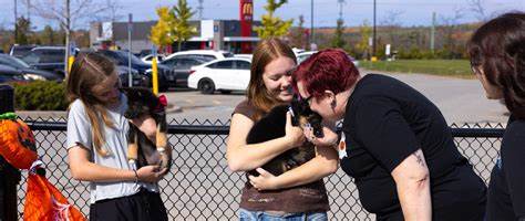 Bring back limited choice – Updog