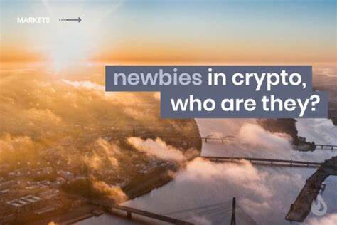Newbies In Crypto, Who Are They? By DailyCoin - Investing.com