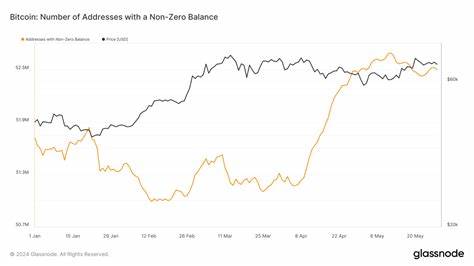 Bitcoin addresses with positive balances surpass 52.5 million amid strong growth since 2020 - CryptoSlate