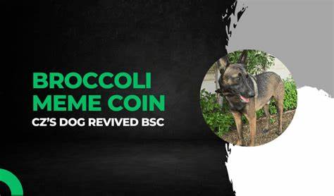 Broccoli Meme Coins Flood the Market After CZ Reveals His Pet Dog - Binance