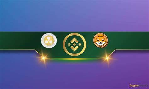 Here’s How Much Ripple (XRP) and Shiba Inu (SHIB) Binance Currently Holds - CryptoPotato