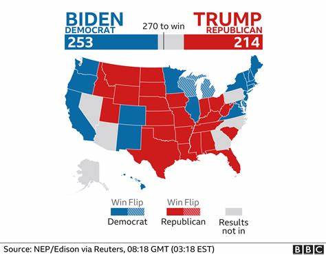 Do people trust US election results? Here's what we know now