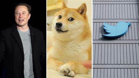 Doge: Elon Musk will neue Beschäftigte einstellen – um Personal zu entlassen