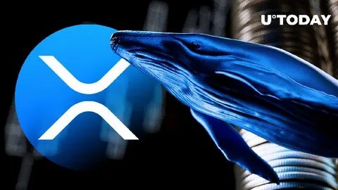 XRP and Ethereum Whales Eye Propichain as the Leading Real Estate Token for 2025 Gains - CoinCodex
