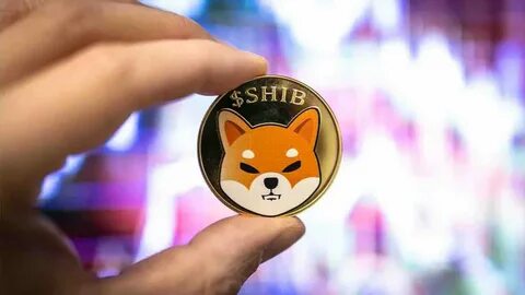 If You Invested $100 In Shiba Inu When The Coin Launched, Here's How Much You'd Have Today - Benzinga