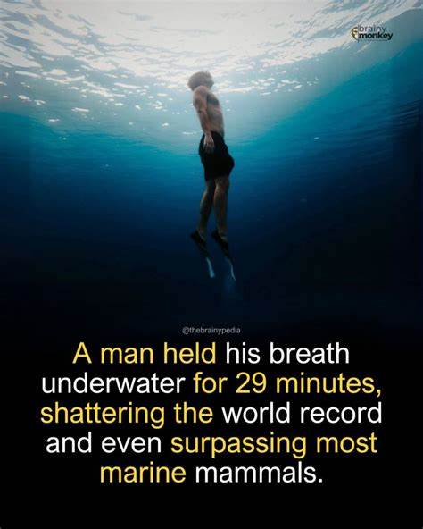 Freediver Held His Breath For Over 29 Minutes Underwater, Shatters World Record