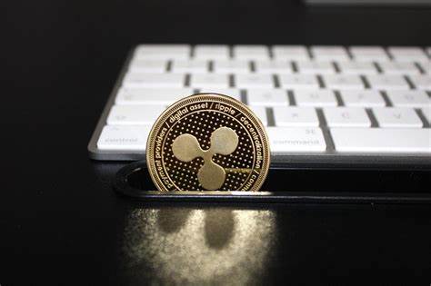 Ripple’s Chris Larsen donates $1 million in XRP to Kamala Harris