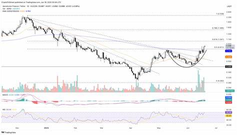 Top 3 Crypto Gainers: RAY, AERO, SPX shrug off market volatility, record double-digit growth