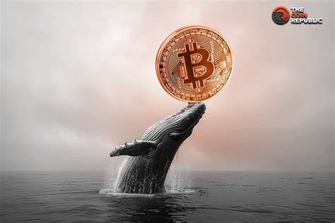 Bitcoin Whales Bought 1% of Circulating BTC Supply in Past 4 Months