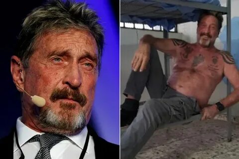 John McAfee Is Back From the Dead to Hawk Meme-Coin - The Daily Beast