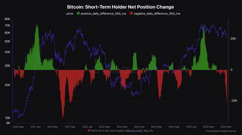 Bitcoin holds strong as short-term investors stay resilient amid volatility