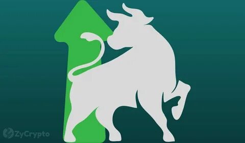The Longest Bull Run in History for Bitcoin, Ether, Solana, Cardano, Shiba Inu, XRP Predicted to be Underway - ZyCrypto