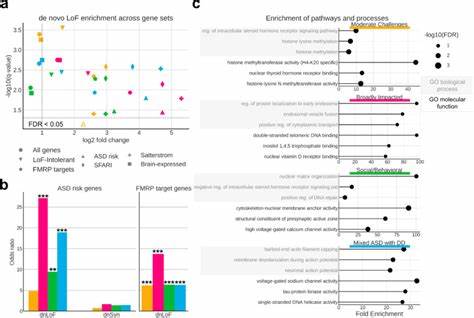 Decomposition of phenotypic heterogeneity in autism show underlying programs