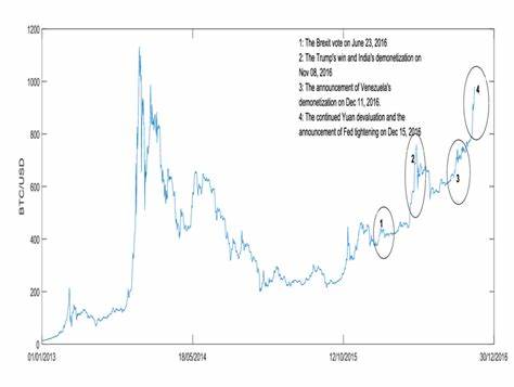 Bitcoin Price Fluctuations And The Factors That Influence Them - The Crypto Basic