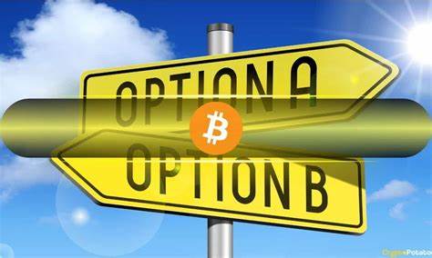 Options Trading for Bitcoin ETFs will Increase Liquidity and Attract Long-Term Investors - Crypto Economy