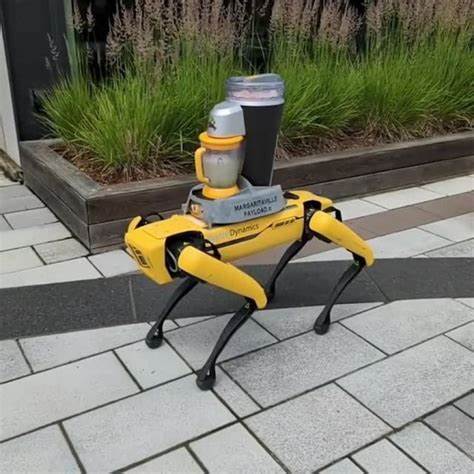 Robot Dogs, AI Will Help Man Who Accidentally Threw a Fortune in Bitcoin Into the Trash - autoevolution