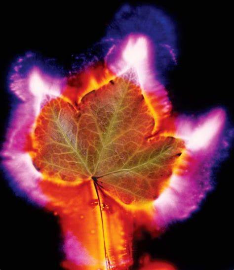 Kirlian Photography