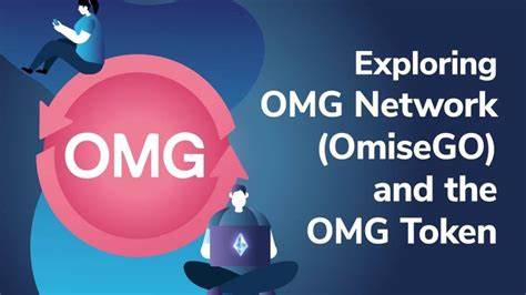 Function of OMG Tokens within the OMG Network