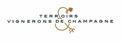 Terroirs et Vignerons de Champagne appoints new president