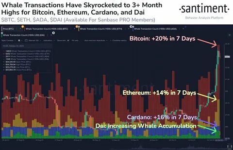 Ethereum (ETH) whales and retail stakers cause growing queue for withdrawals - MSN