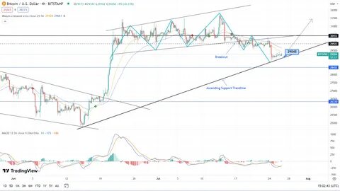 Crypto Bull Scaramucci Sees 3X Gains For Bitcoin, Ethereum, And Algorand — Here's Why - Nasdaq