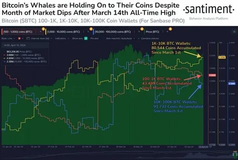 Bitcoin Whales Accumulated Over $2 Billion Since BTC Dipped Below $40,000