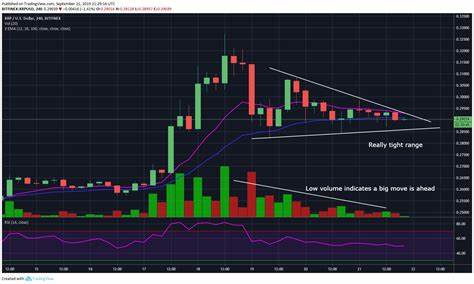 XRP Poised For ‘Massive Mega Pump’ After 540 Days of Consolidation, Predicts Crypto Analysts - ZyCrypto