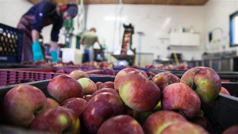 A Food Reckoning Is Coming