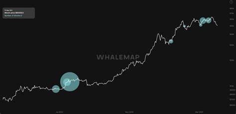 Sub $50K Bitcoin correction remains in play as whales look to sell BTC - Cointelegraph