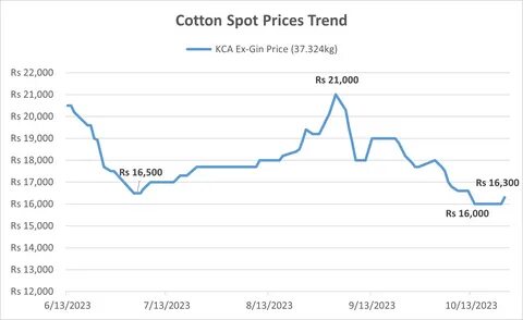 Cotton Prices Are Trending Up. How Much Higher Can They Go?