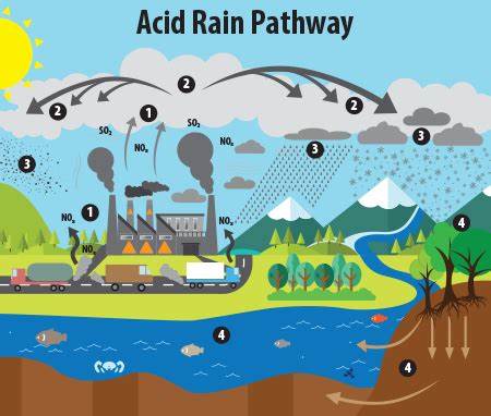 There's a new acid in our rain – should we be worried?