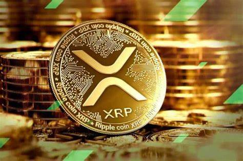 Ripple’s Chris Larsen 1.75 Million XRP To Kamala Harish, What’s The Motive - Coinpedia Fintech News