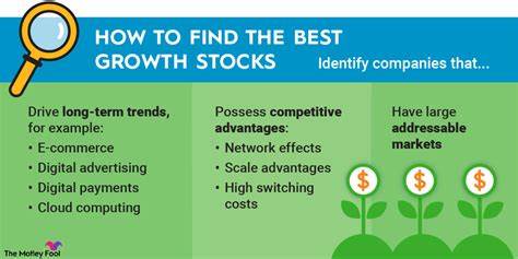 New to Growth Stocks? Here's 1 Every Investor Should Have on Their Radar