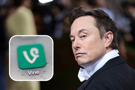 Vine Meme Coin Soars As Elon Musk Considers Resurrecting App - Newsweek