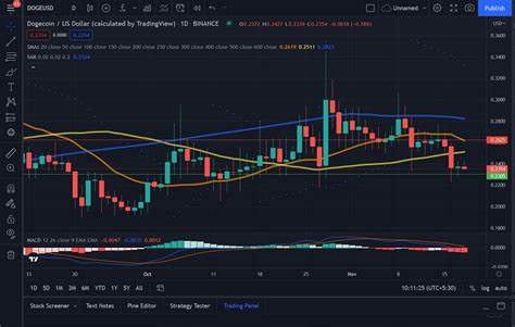 Dogecoin Price Continues To Fall After Last Week's High - Newsweek