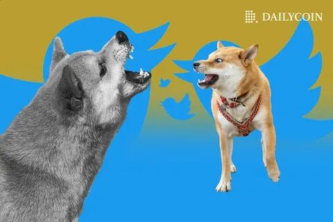 Why SHIB Price Pulling Out a Bull Flag Could Be The Game-Changer SHIB Army Longed For - DailyCoin