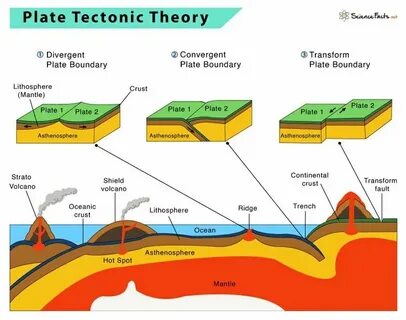 Tectonic Price Prediction | Is Tectonic a Good Investment? - Capital.com