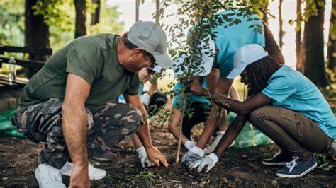 Forest expansion increases agricultural output, new study shows