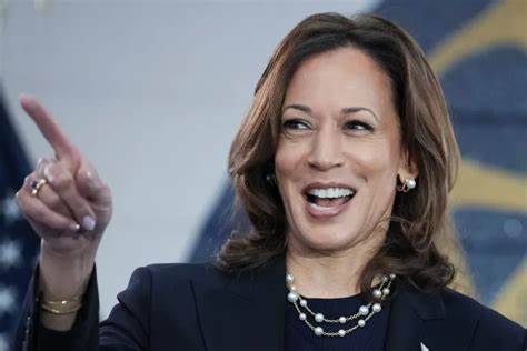 Goldman Sachs says voters are shifting to Kamala Harris—and the odds of a blue wave are swelling - Fortune