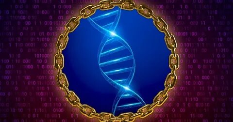 Blockchain not just for bitcoin: It can secure and store genomes, too - Yale News