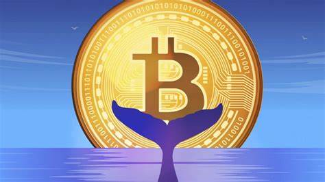 Cryptocurrency Live News & Updates : Whale Contracts Experience Major Withdrawals