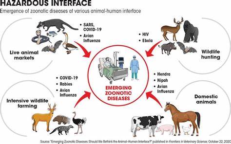 Animal diseases leapt to humans when we started keeping livestock