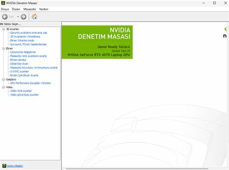 NVIDIA Denetim Masası Ekran Bölümü Yok? İşte Çözümü | DonanımHaber Forum