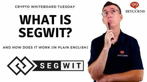 What is SegWit? (2024 Updated) - Segregated Witness Explained Simply - 99Bitcoins