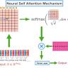 Unsupervised pretraining in biological neural networks