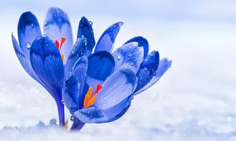 Moving From Crypto Winter To Winter Spring: Lessons from Bear Market and When the Winter Will End - Cryptonews