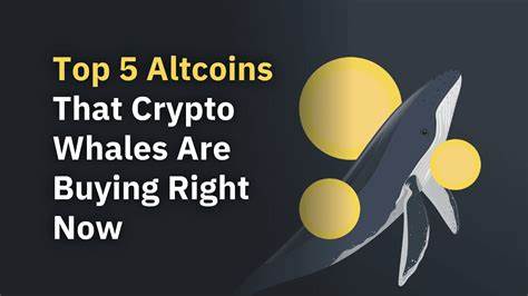What Crypto Whales Are Buying Ahead of Senate Hearing